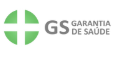 Gs